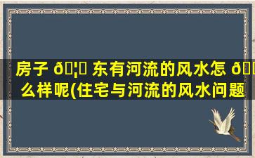 房子 🦍 东有河流的风水怎 🌵 么样呢(住宅与河流的风水问题图解)